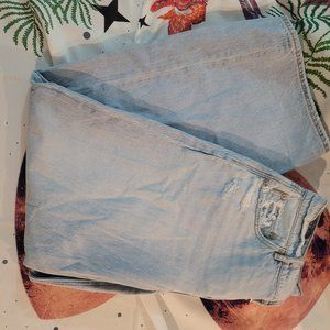 AE Low-Rise Baggy Wide-Leg Jean